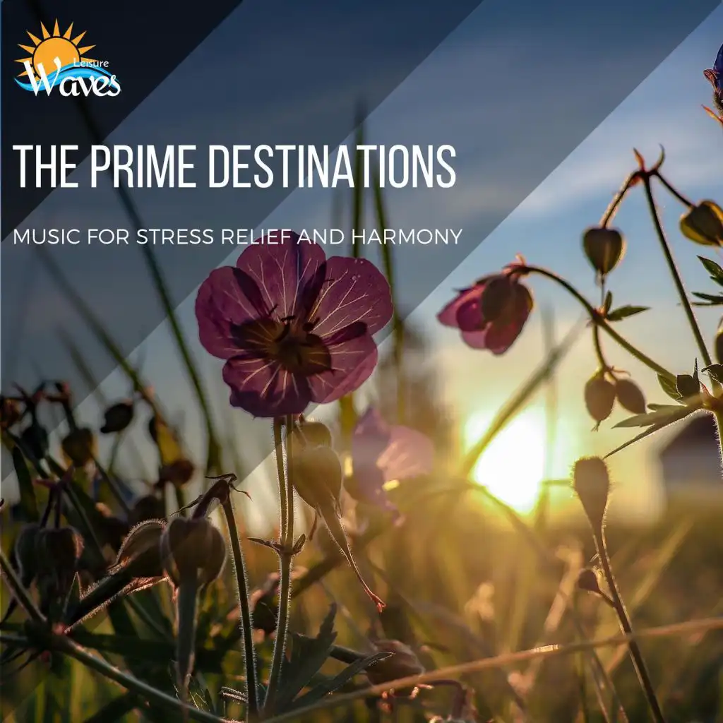 The Prime Destinations - Music for Stress Relief and Harmony