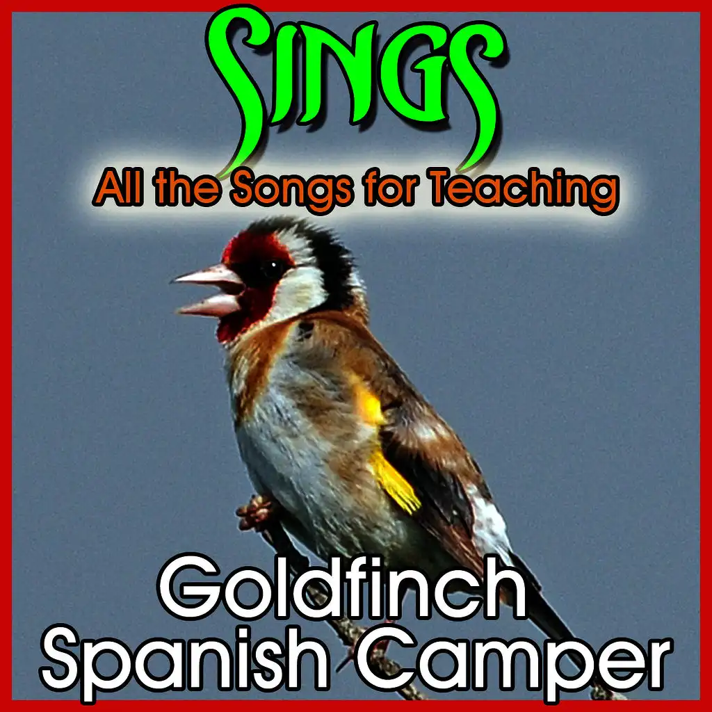 Sonido y Cantos de Pajaros