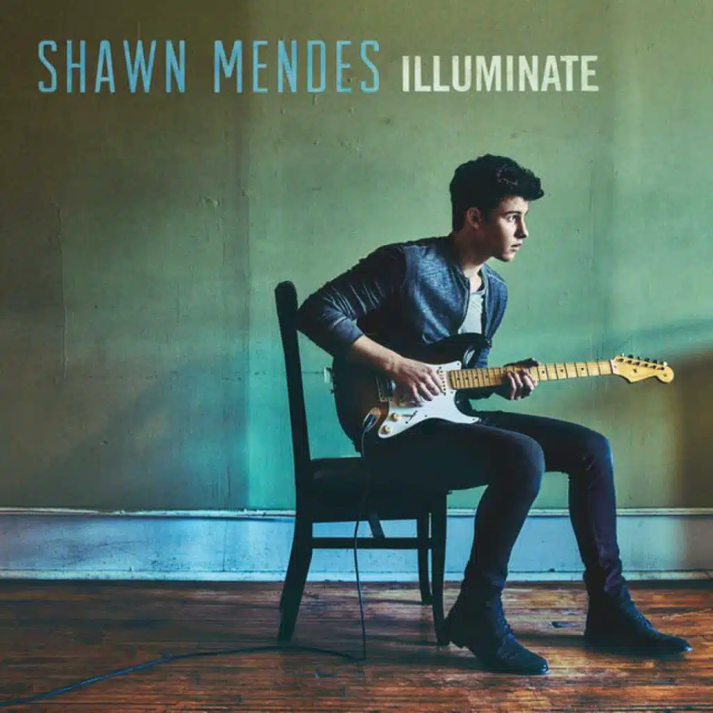 shawn mendez