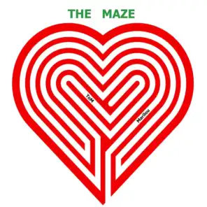 The Maze (Radio Edit) [feat. ToM]