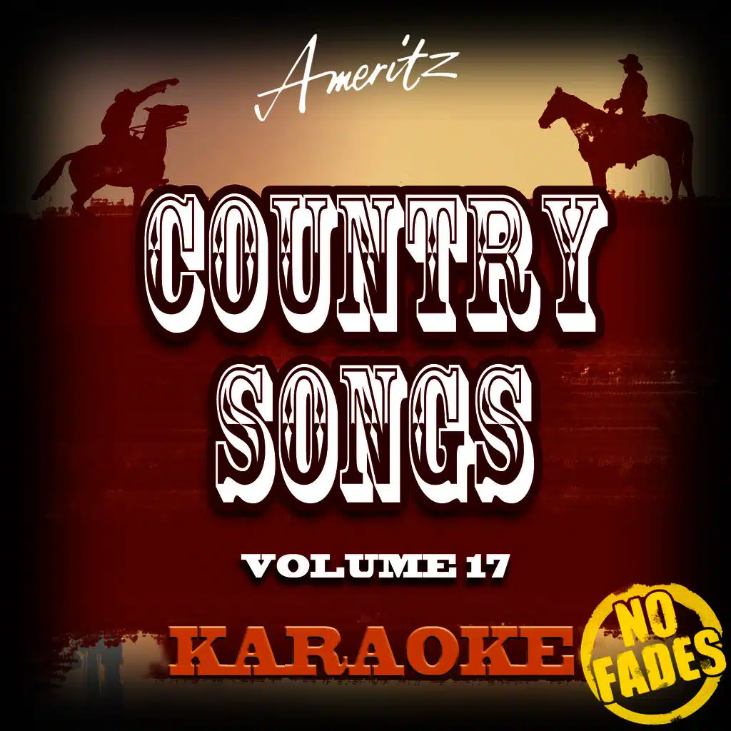 Karaoke - Country Songs Vol. 17