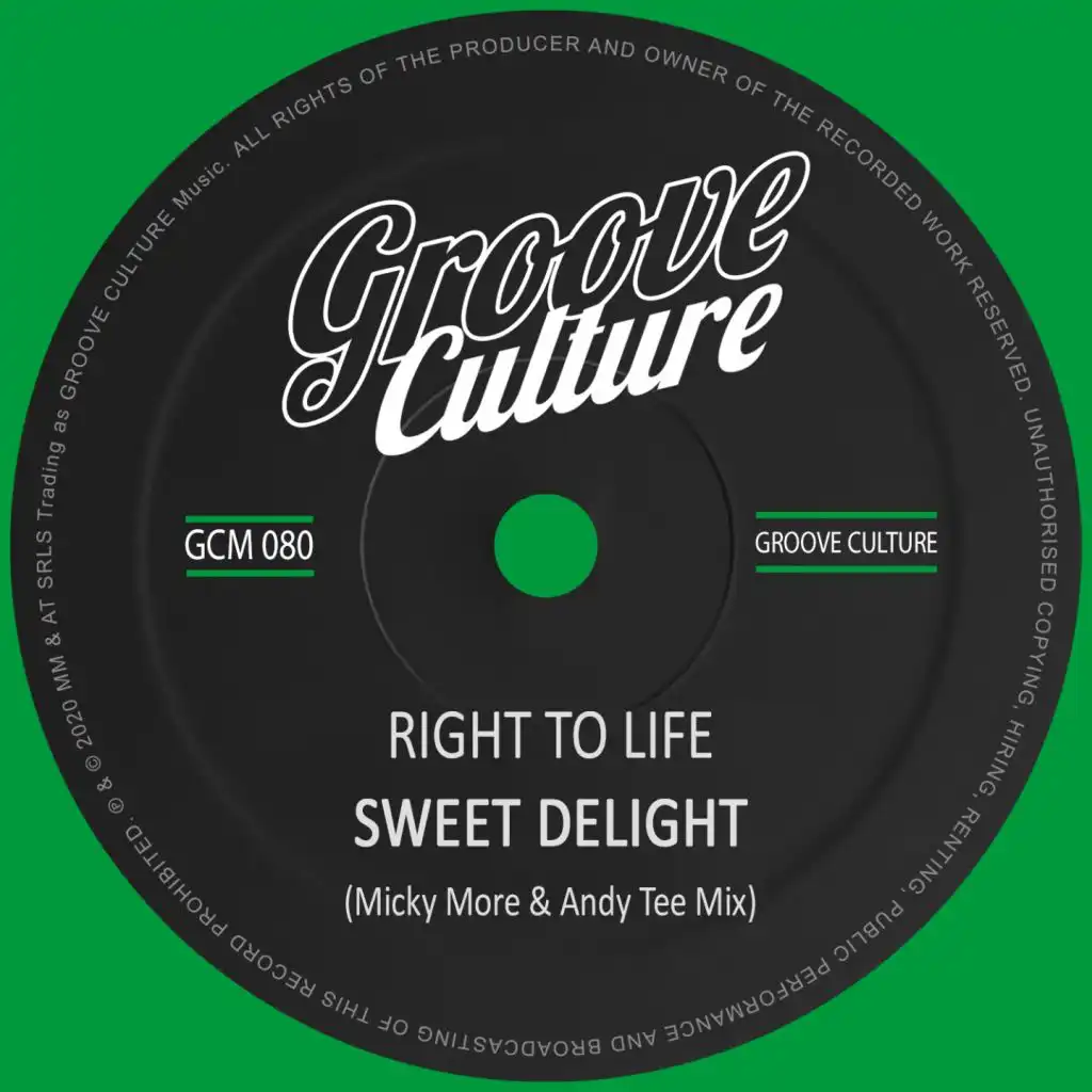 Sweet Delight (Micky More & Andy Tee Mix)