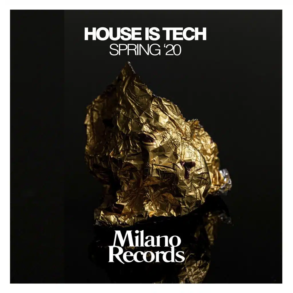House Is Tech Spring '20