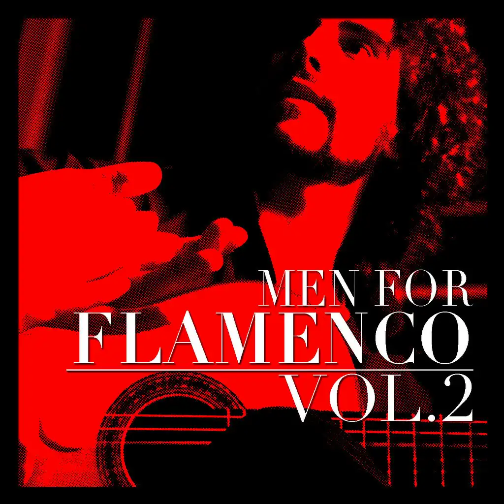 Men for Flamenco Vol. 2