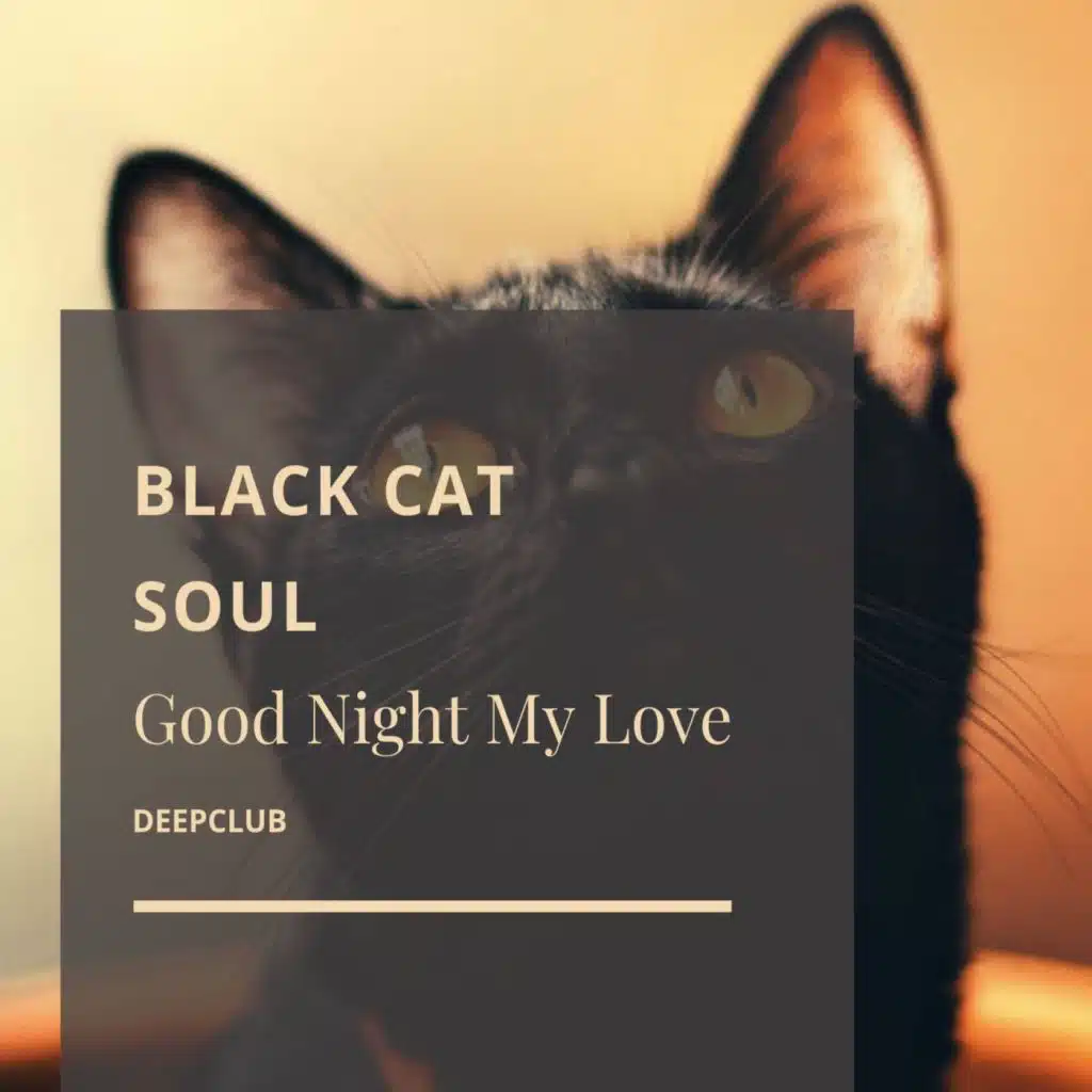 Black Cat Soul