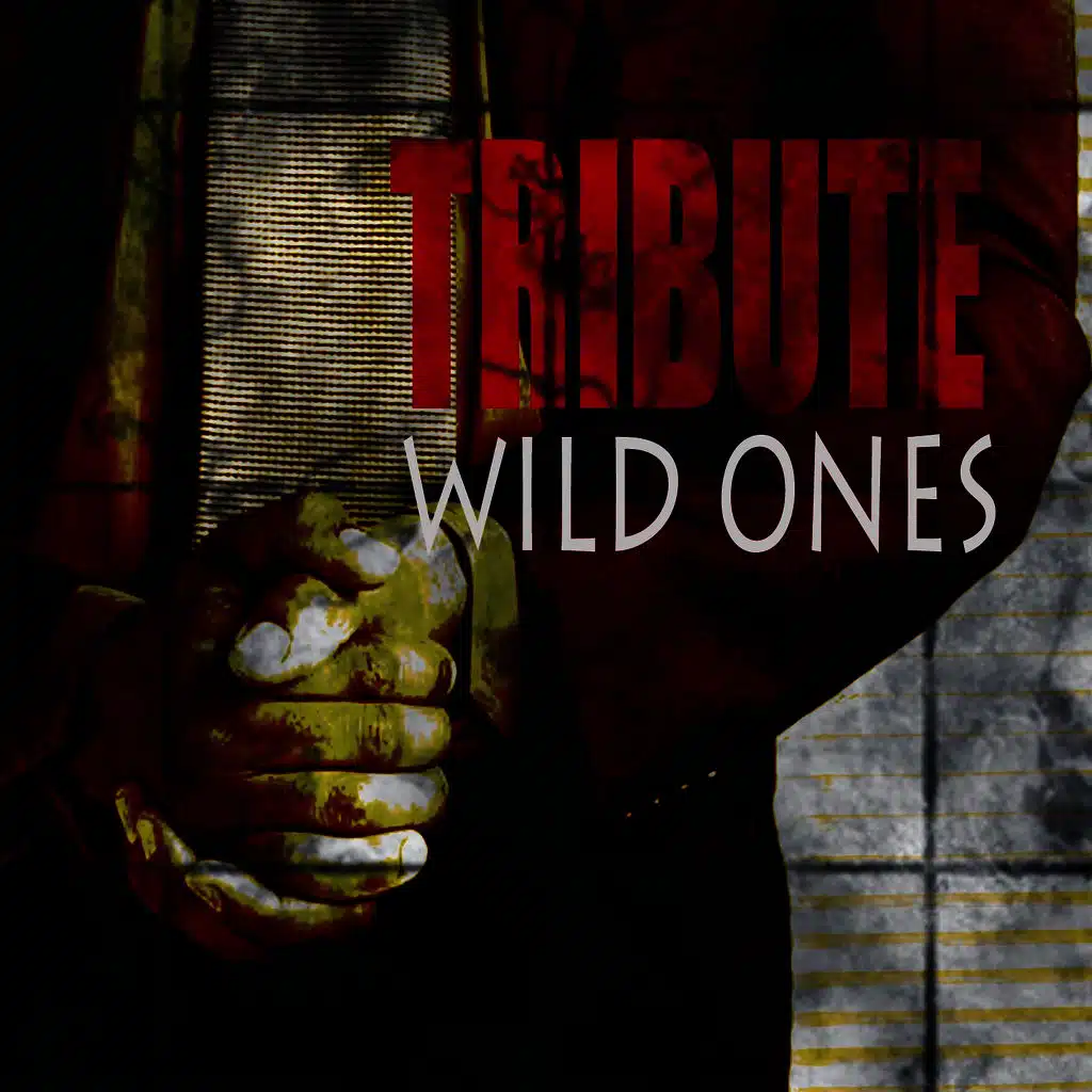 Wild Ones (Flo Rida feat. Sia Tribute)