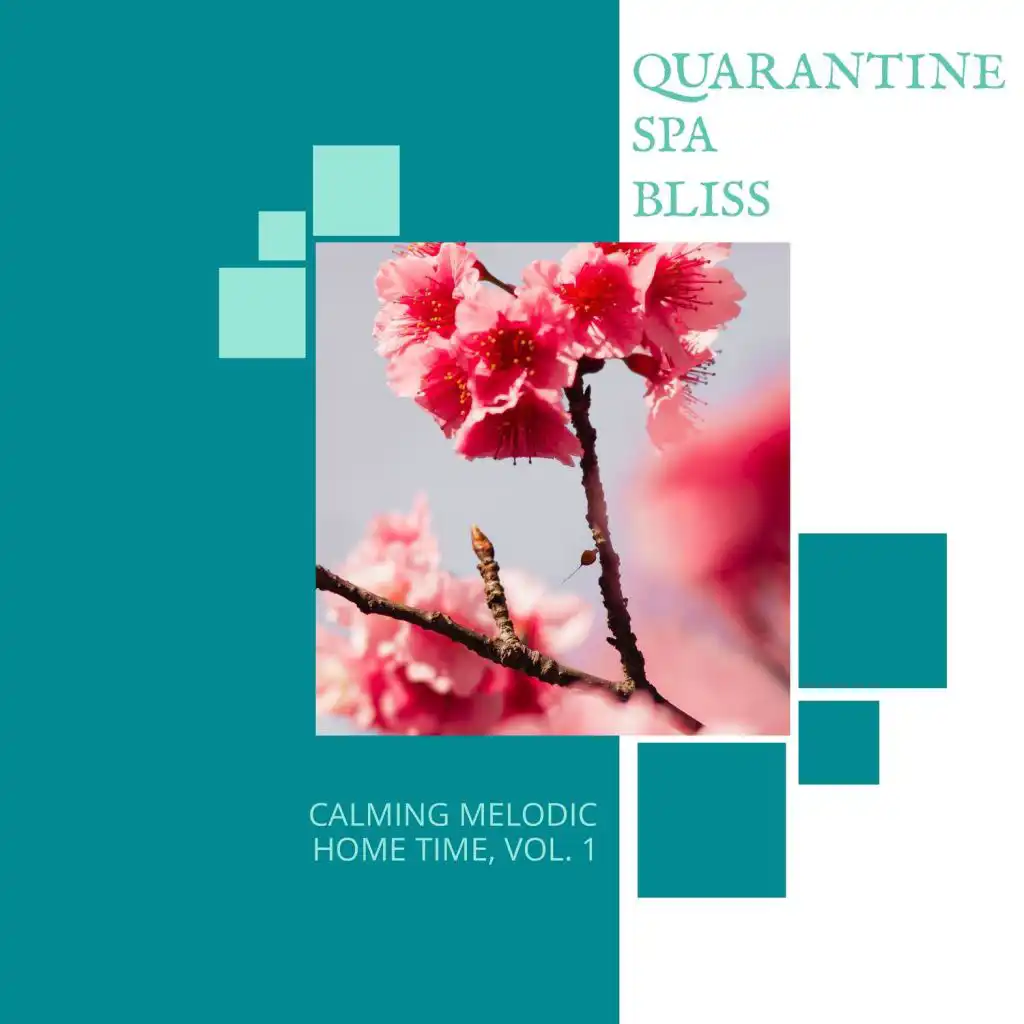 Quarantine Spa Bliss - Calming Melodic Home Time, Vol. 1