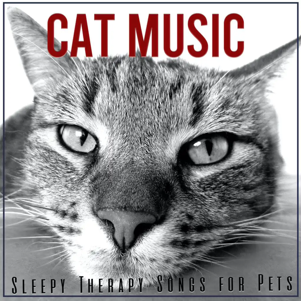 Cat Music: Sleepy Therapy Songs for Pets