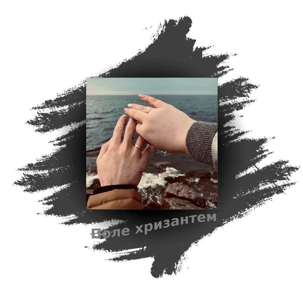 Поле хризантем