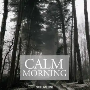 Calm Morning, Vol. 1 (Wonderful Melodic & Relaxing Tunes For Chilled Morning Moods)