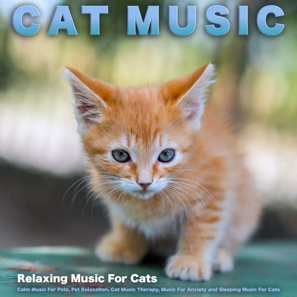 Cat Music: Relaxing Music For Cats, Calm Music For Pets, Pet Relaxation, Cat Music Therapy, Music For Anxiety and Sleeping Music For Cats