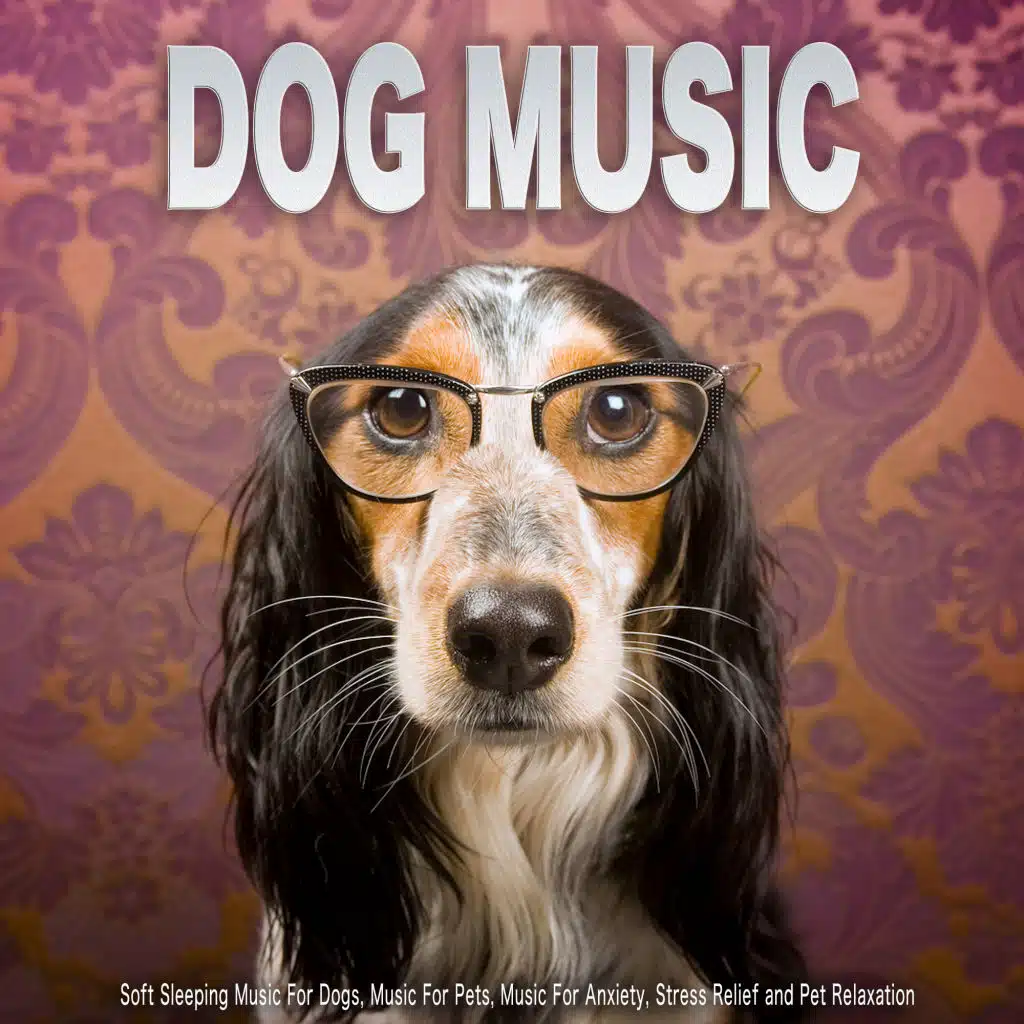 Music For Dogs and Pets