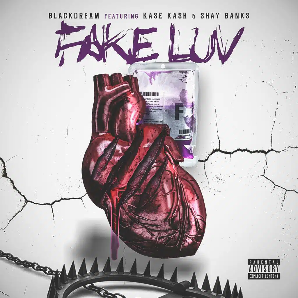 Fake Luv (feat. Shay Banks & Kase Kash)