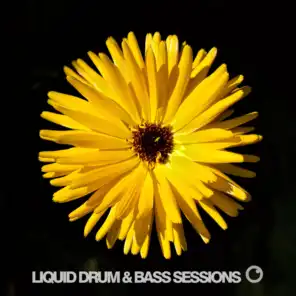 Liquid Drum and Bass Sessions 2019 Vol 1