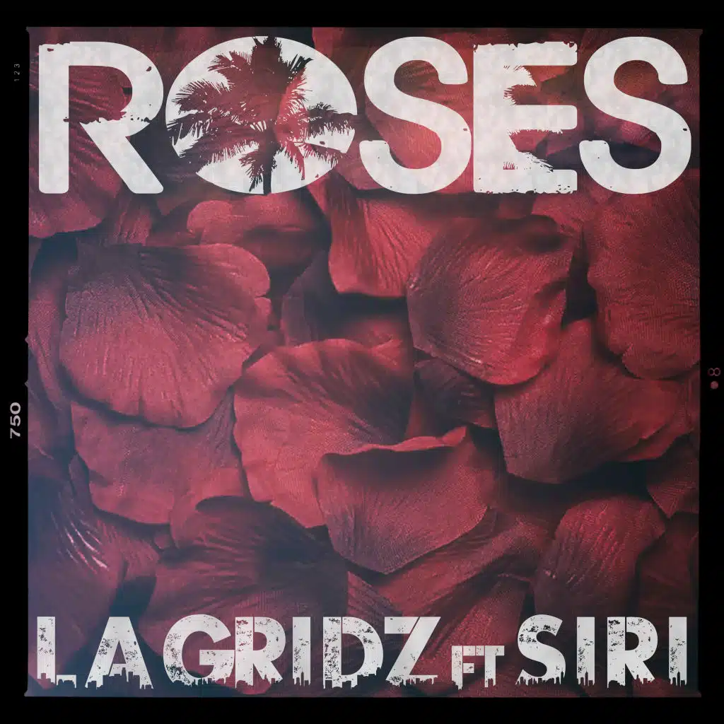Roses (Video Playlist Remix) [feat. Siri]