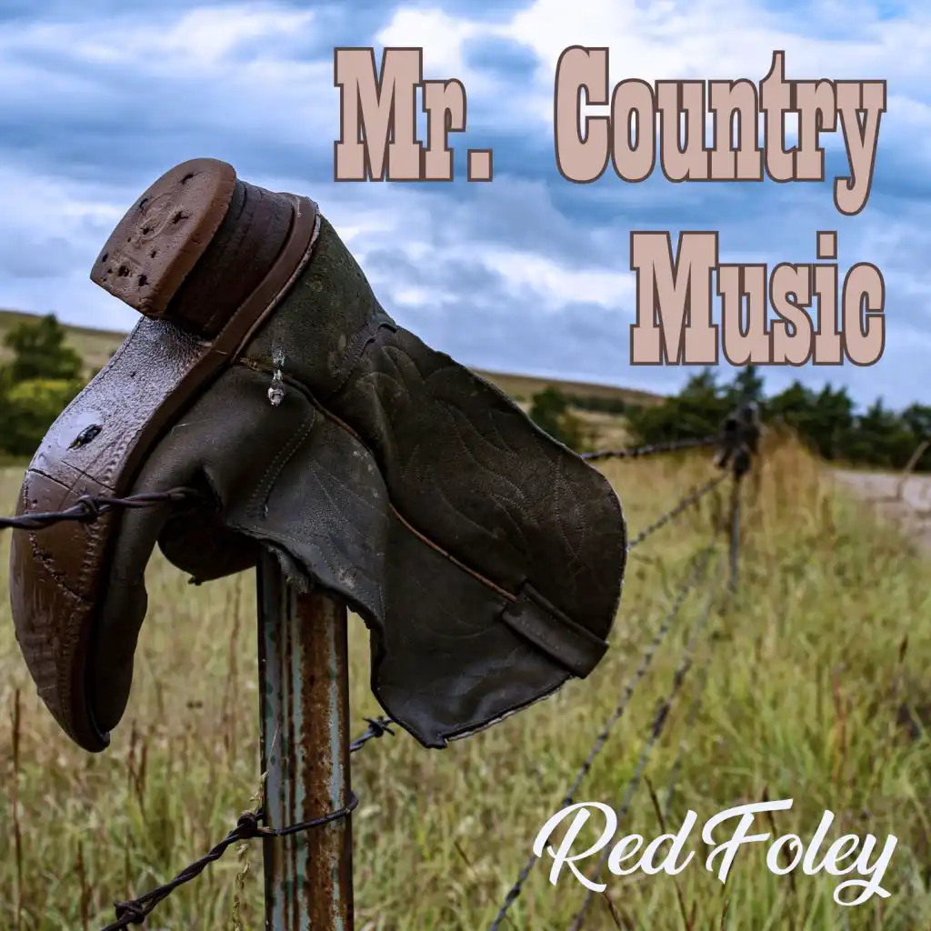 Mr. Country Music