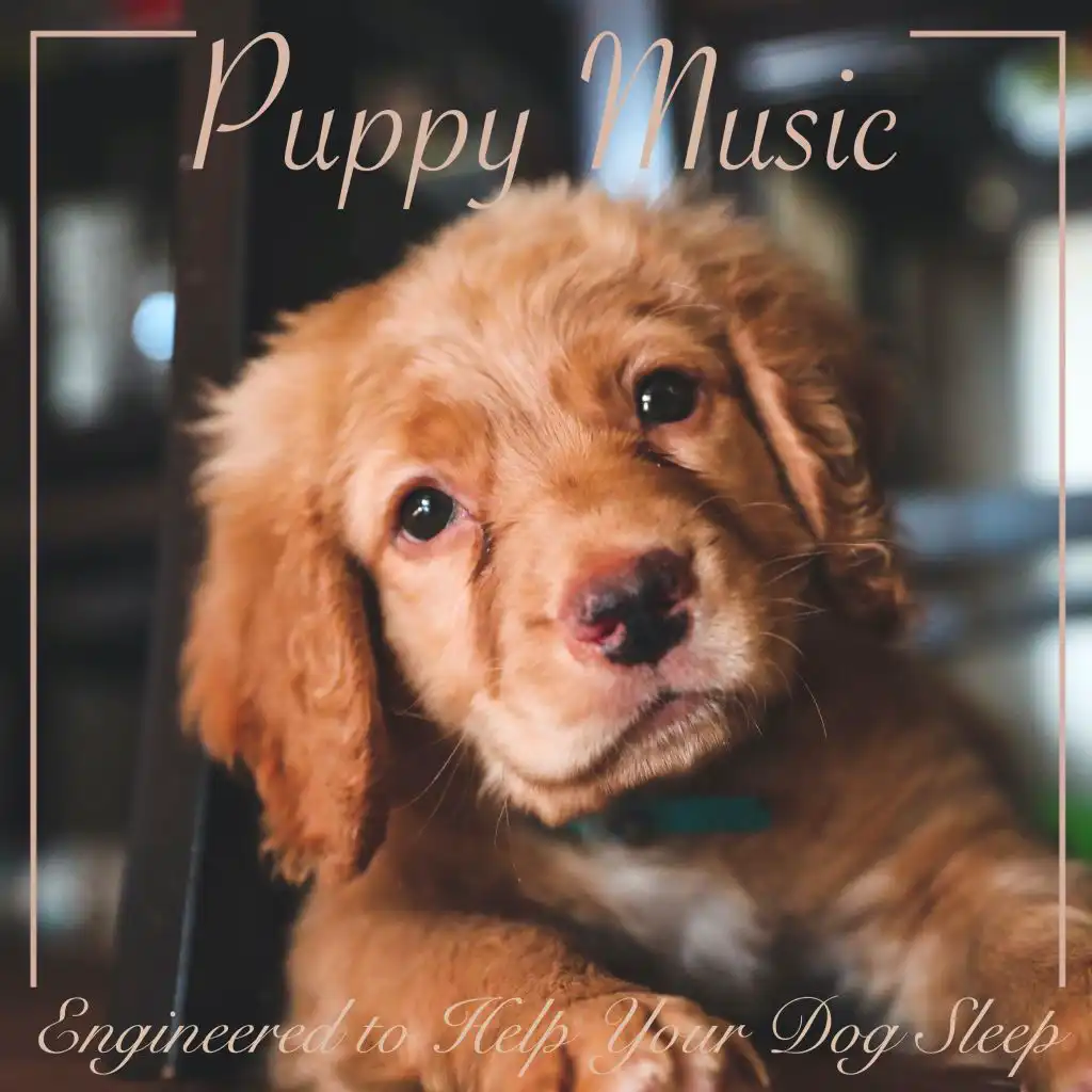 Puppy Playlist