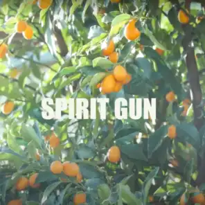 SPIRIT GUN! (feat. Dan Sully)