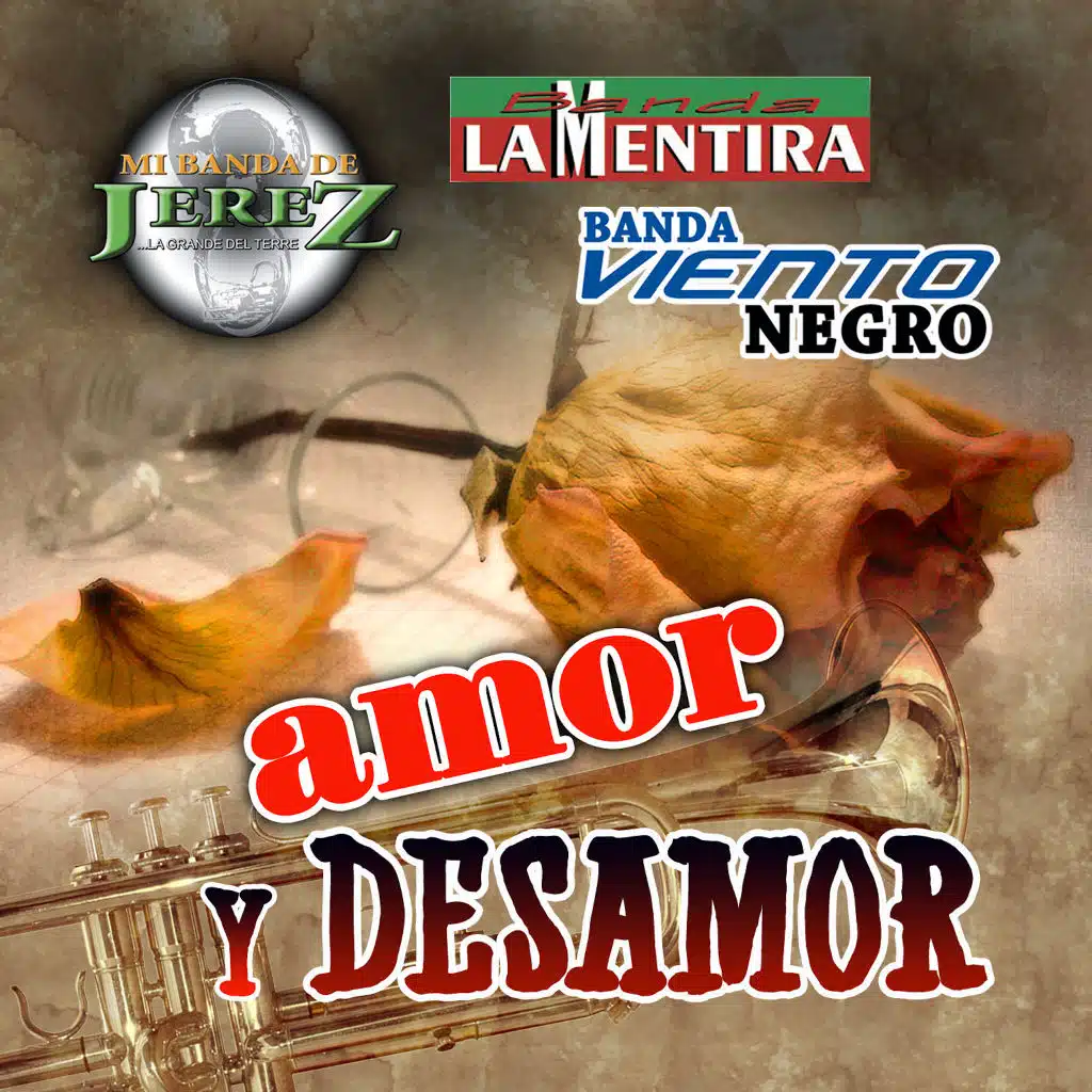 Amor Y Desamor