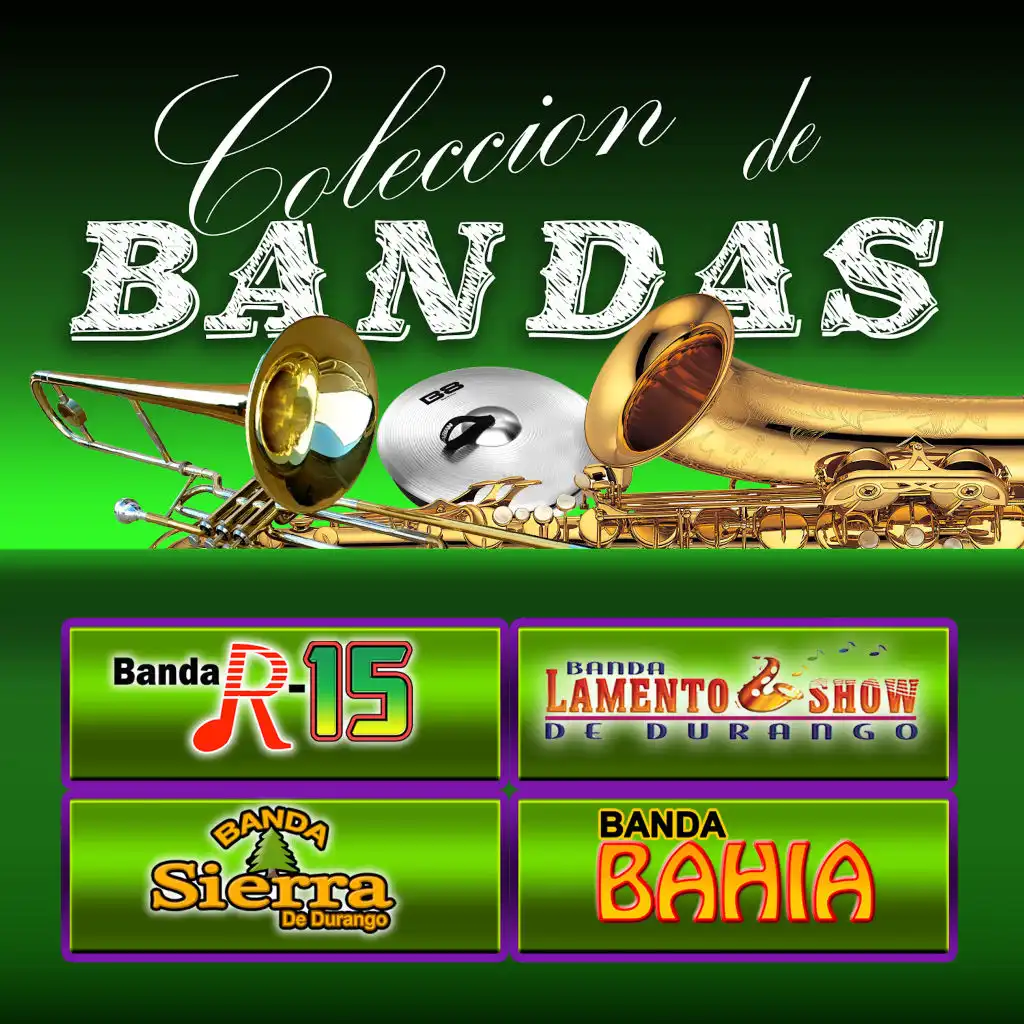 Coleccion De Bandas