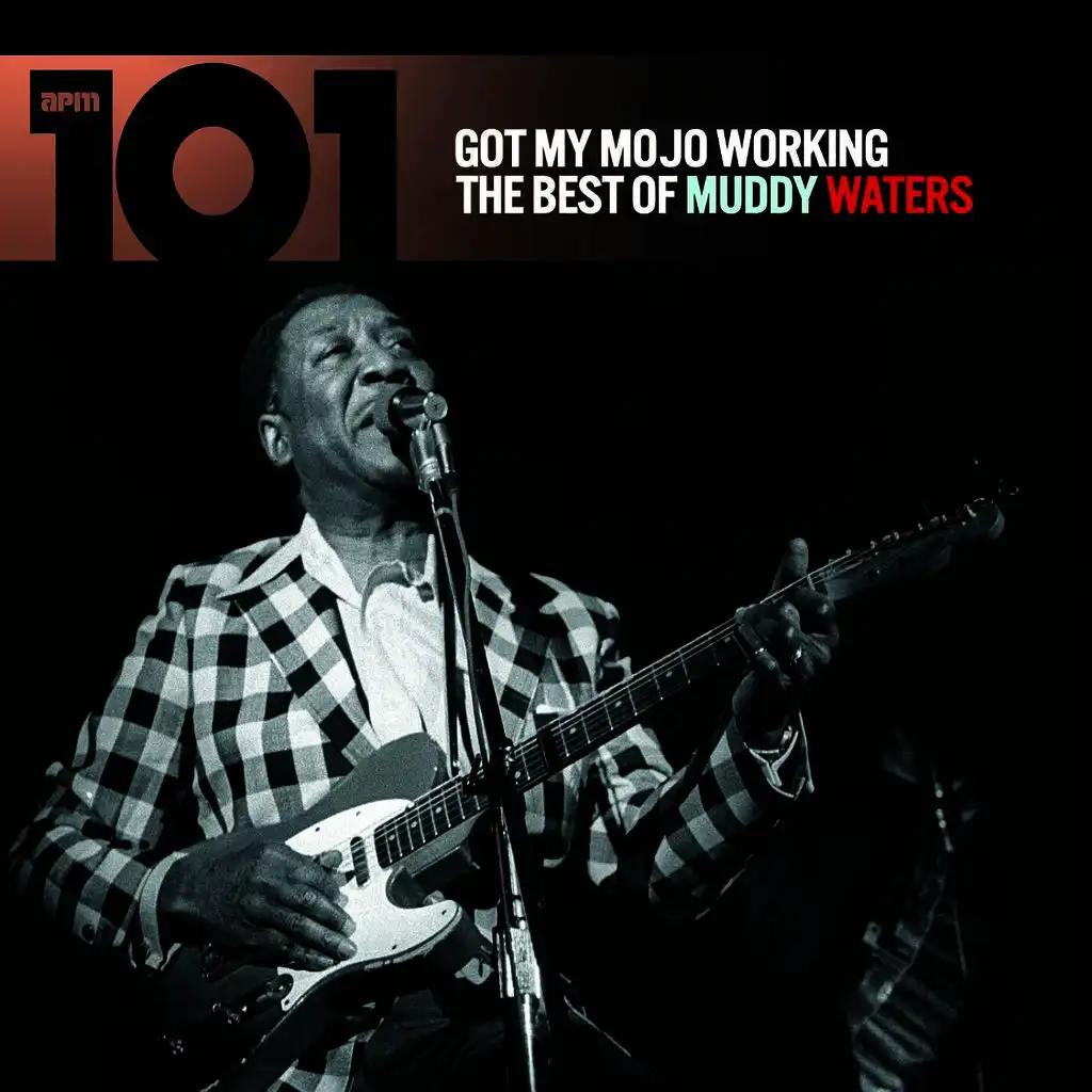 101 - Got My Mojo Working: The Best of Muddy Waters
