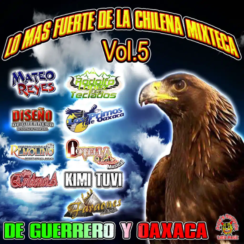 Lo Mas Fuerte De La Mixteca, Vol. 5