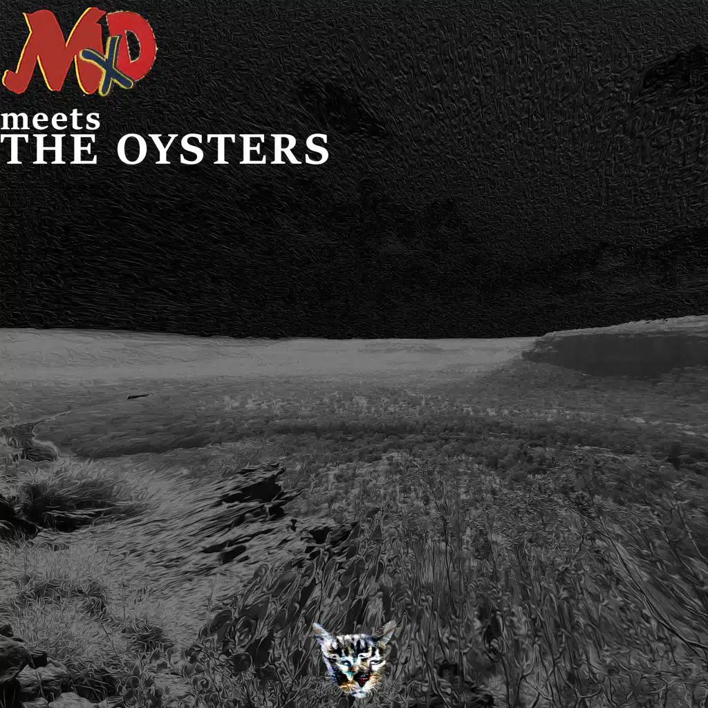 MXD Meets the Oysters