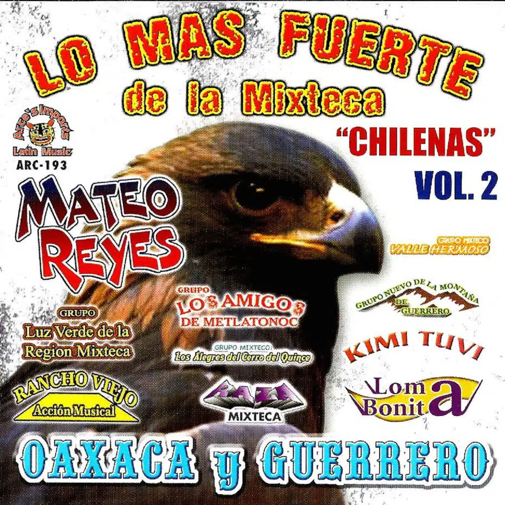 Lo Mas Fuerte De La Mixteca, Vol. 2