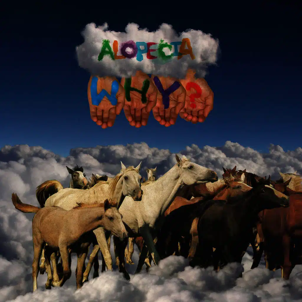 Song of the Sad Assassin