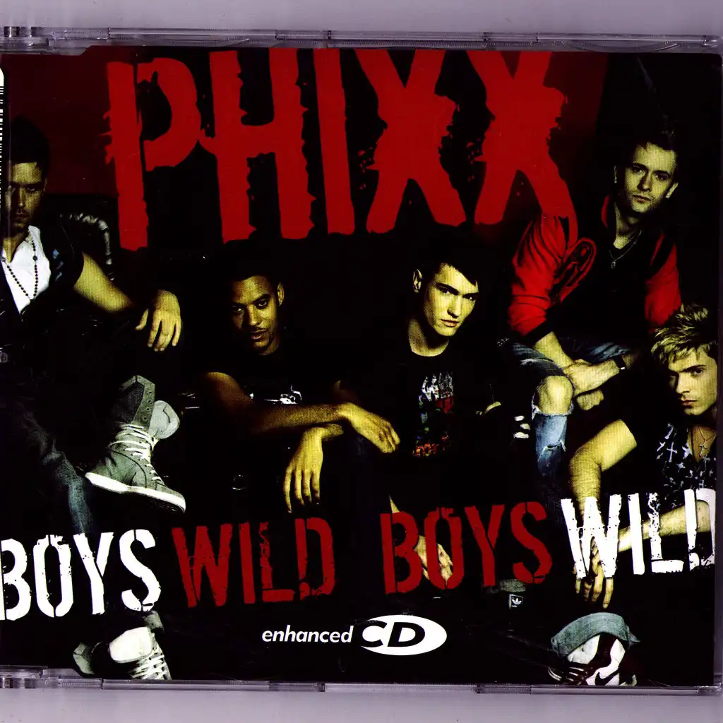 Wild Boys (Mixes)