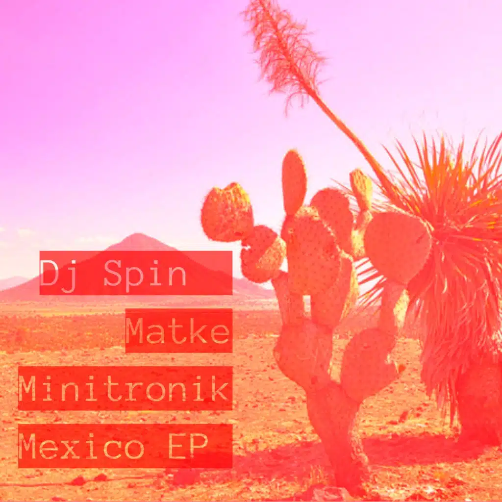 Minitronik, DJ Spin & Matke