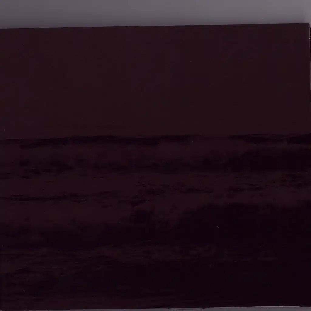 This is a Process of a Still Life