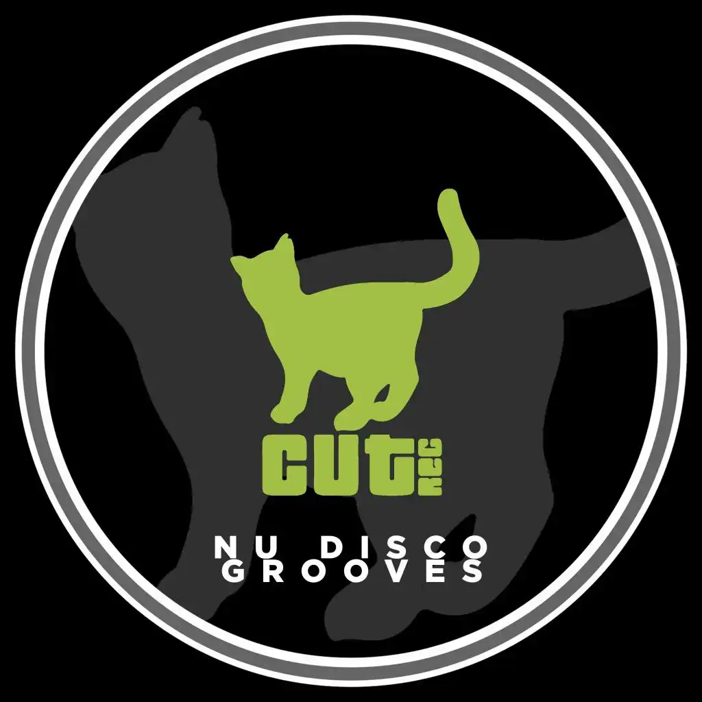 Nu Disco Grooves