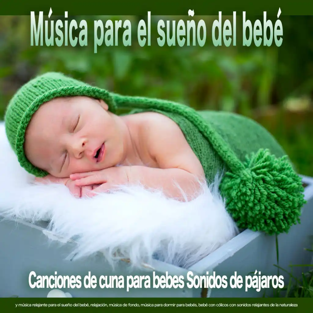 Música para el sueño del bebé: Canciones de cuna para bebes Sonidos de pájaros y música relajante para el sueño del bebé, relajación, música de fondo, música para dormir para bebés, bebé con cólicos con sonidos relajantes de la naturaleza.