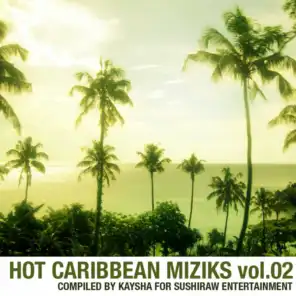 Hot Caribbean Miziks Vol.02