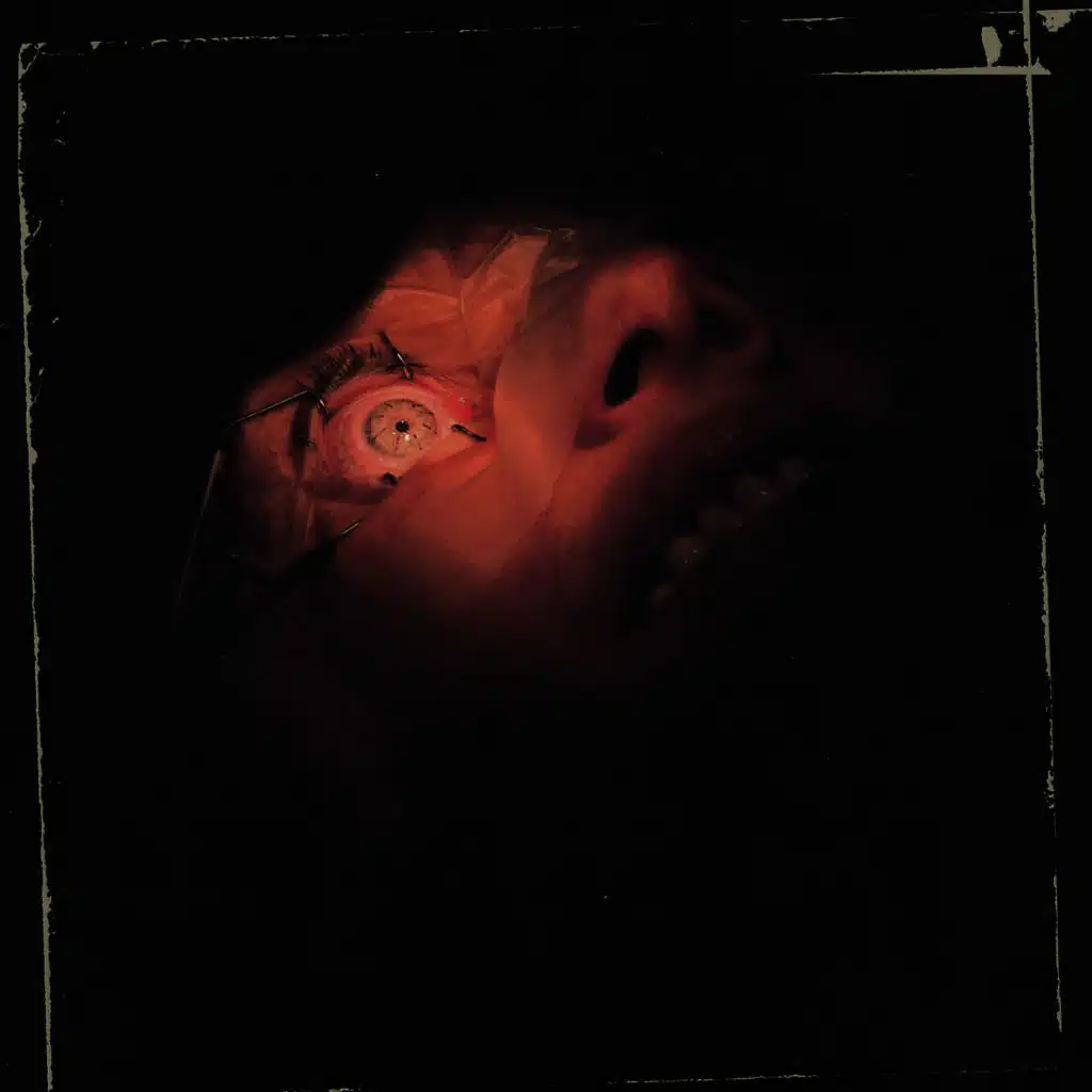 Anatomy Is Destiny / Live In Japan