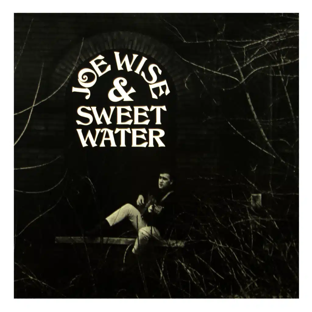 Joe Wise & Sweet Water