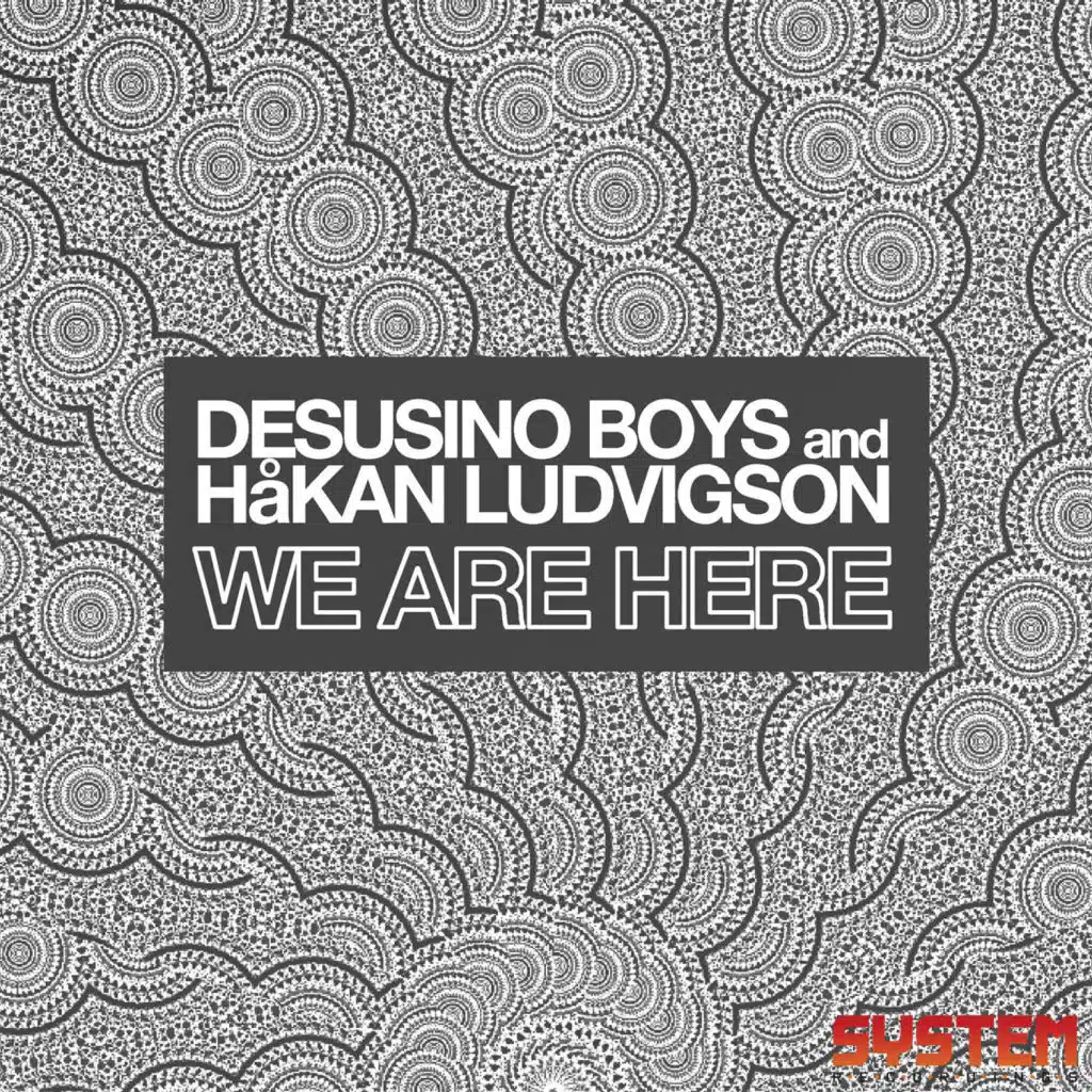Desusino Boys and Hakan Ludvigson