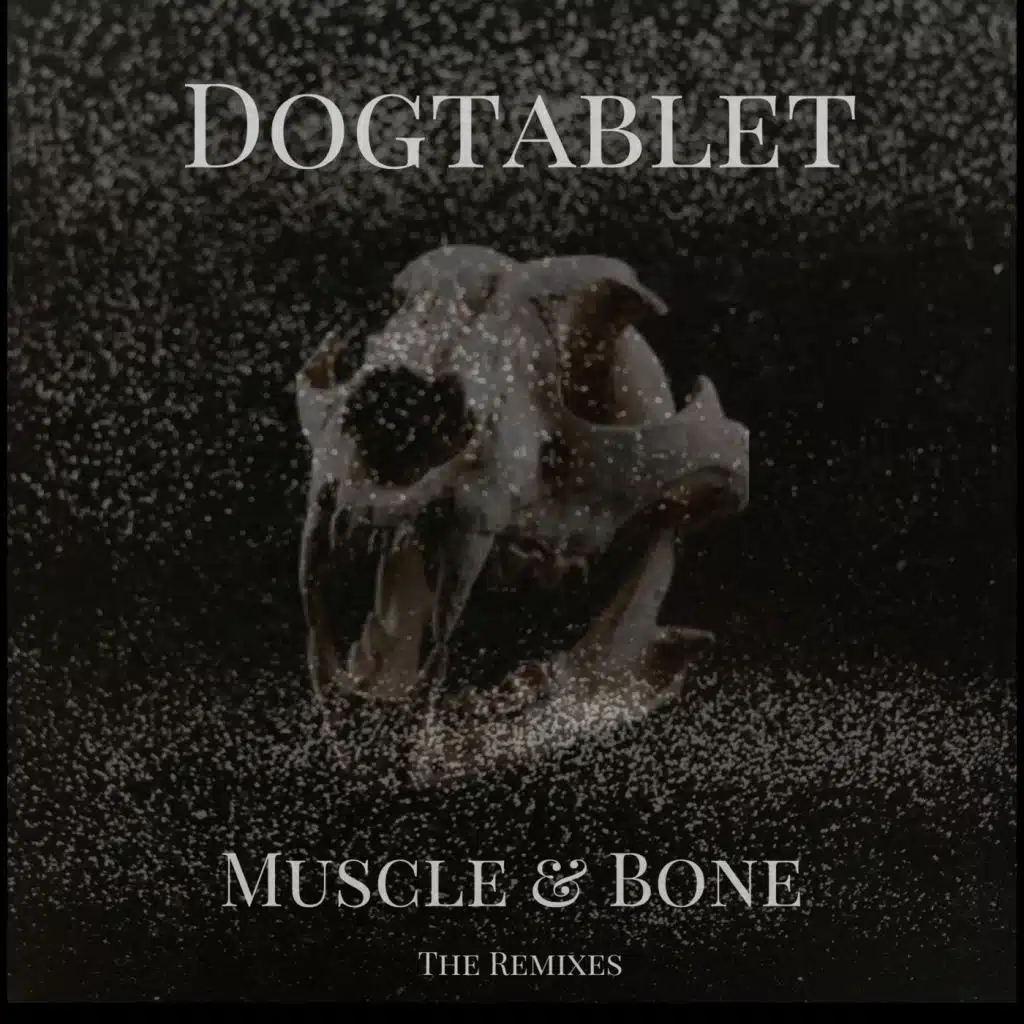 Showtime (Scarred Mix)