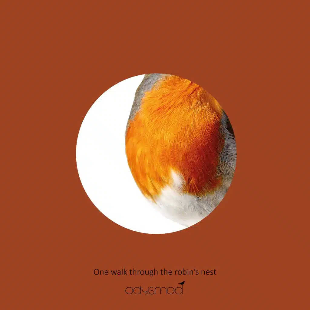 One Walk Through the Robin's Nest