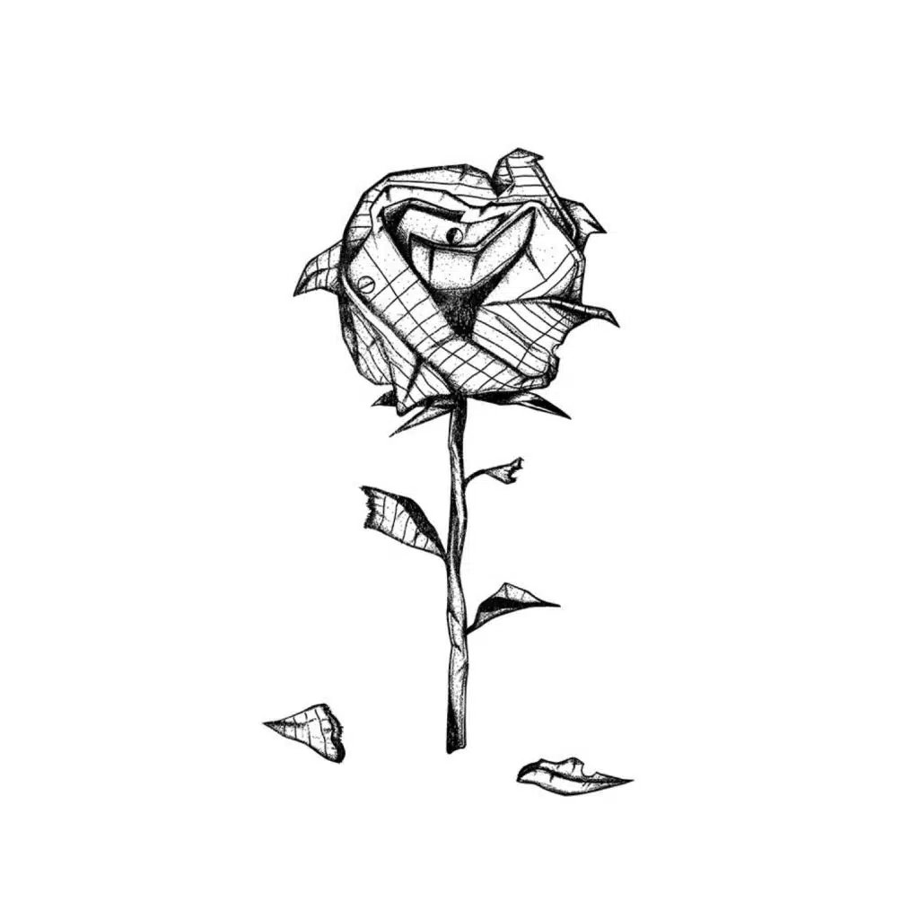 Strawberries and Wine (Rough Draft)