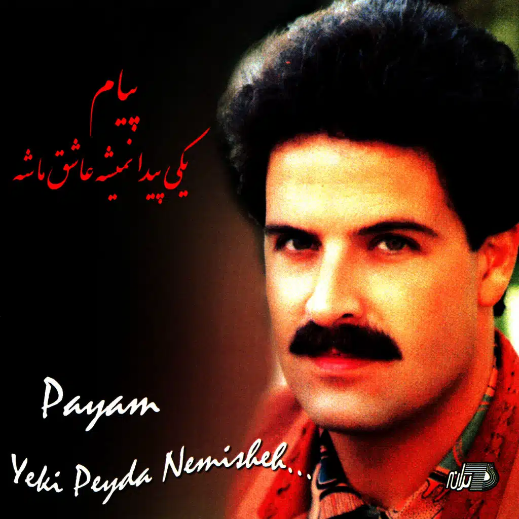 Yeki Peyda Nemishe