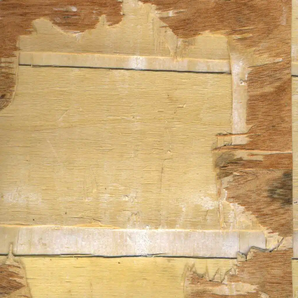 Surrounded By Hermits