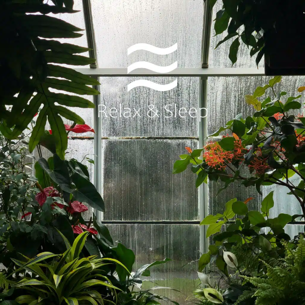 Library of Sleep Nature Sounds Water and Waves