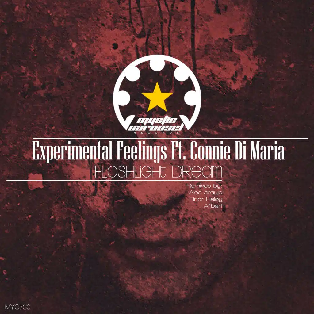 Flashlight Dream (Einar Heløy Remix)