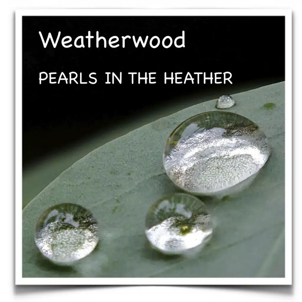 Weatherwood