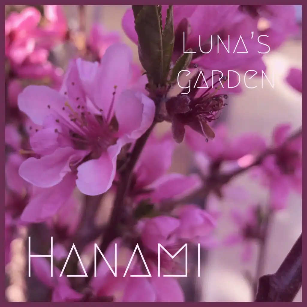 Hanami