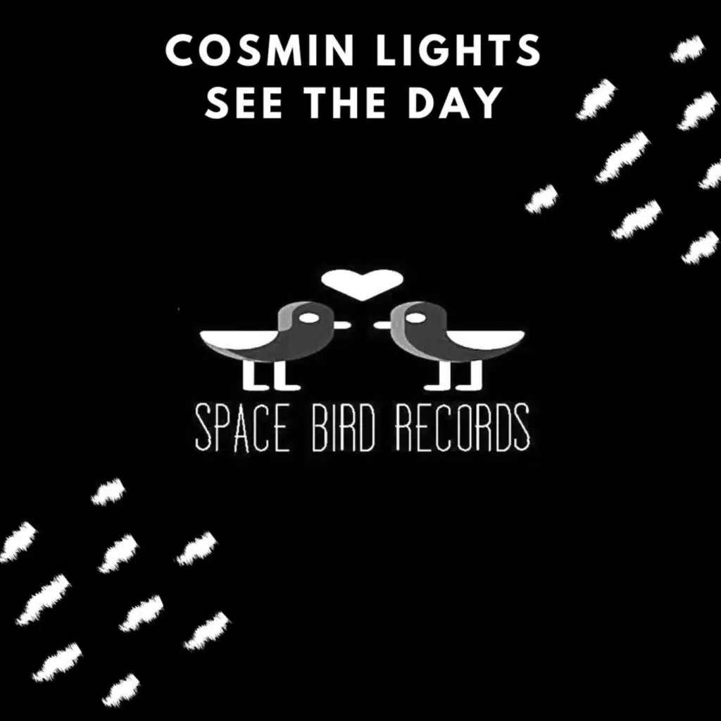 Cosmin Lights