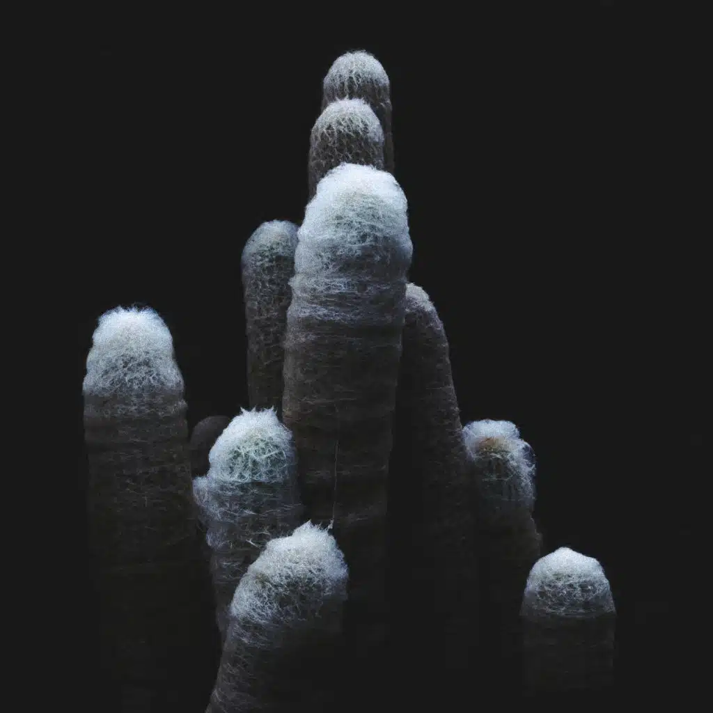 Tropismes
