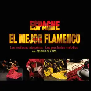 Espagne: El mejor flamenco (Les meilleurs interprètes, les meilleures mélodies)